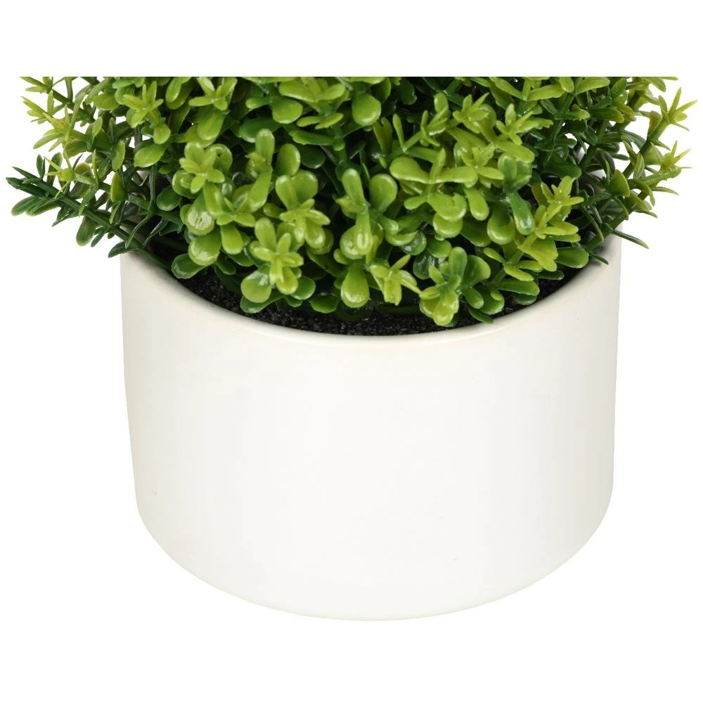 3 Otto Mini Plant Shrub, 3 of 3