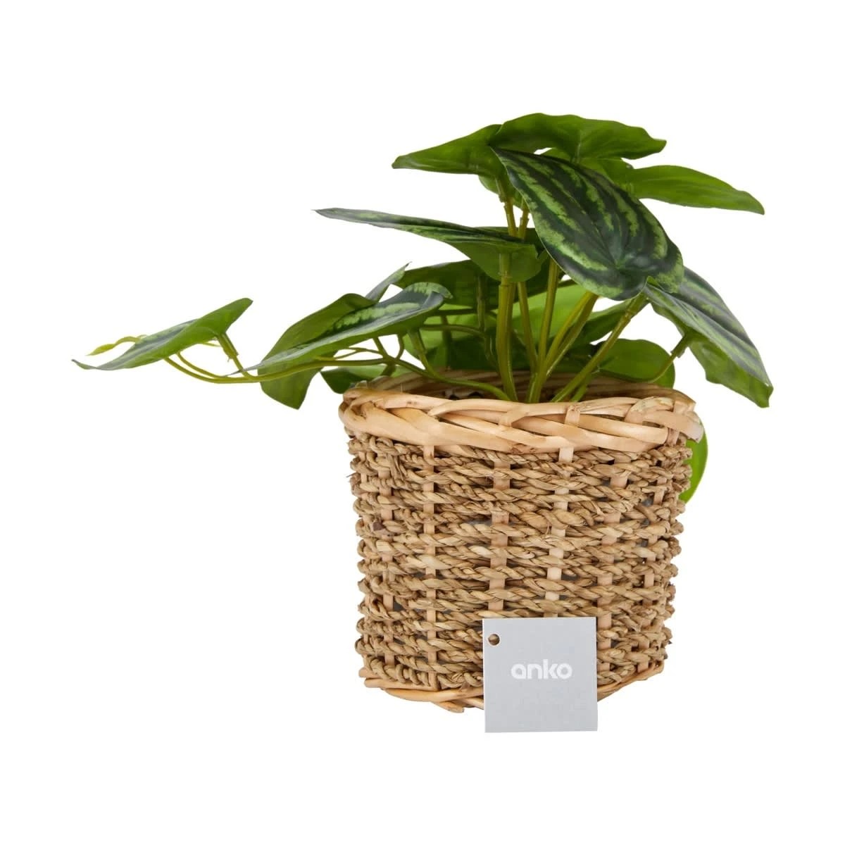 4 Artificial Stripe Leaf Plant in Basket, 4 of 4
