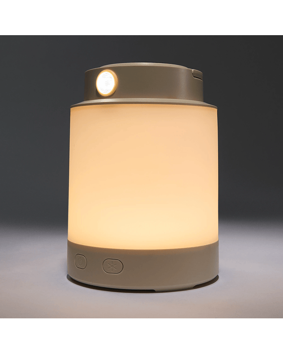 2-in-1 Fan Light