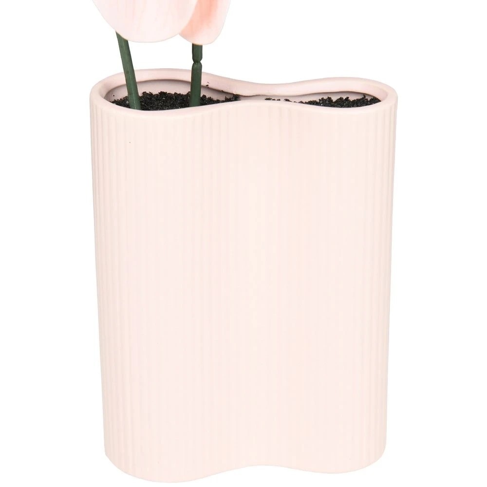 2 Otto Pink Orchid in Ribbed Vase, 2 of 3