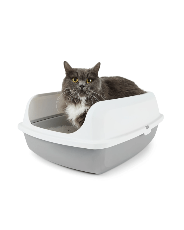Cat Sifting Litter
