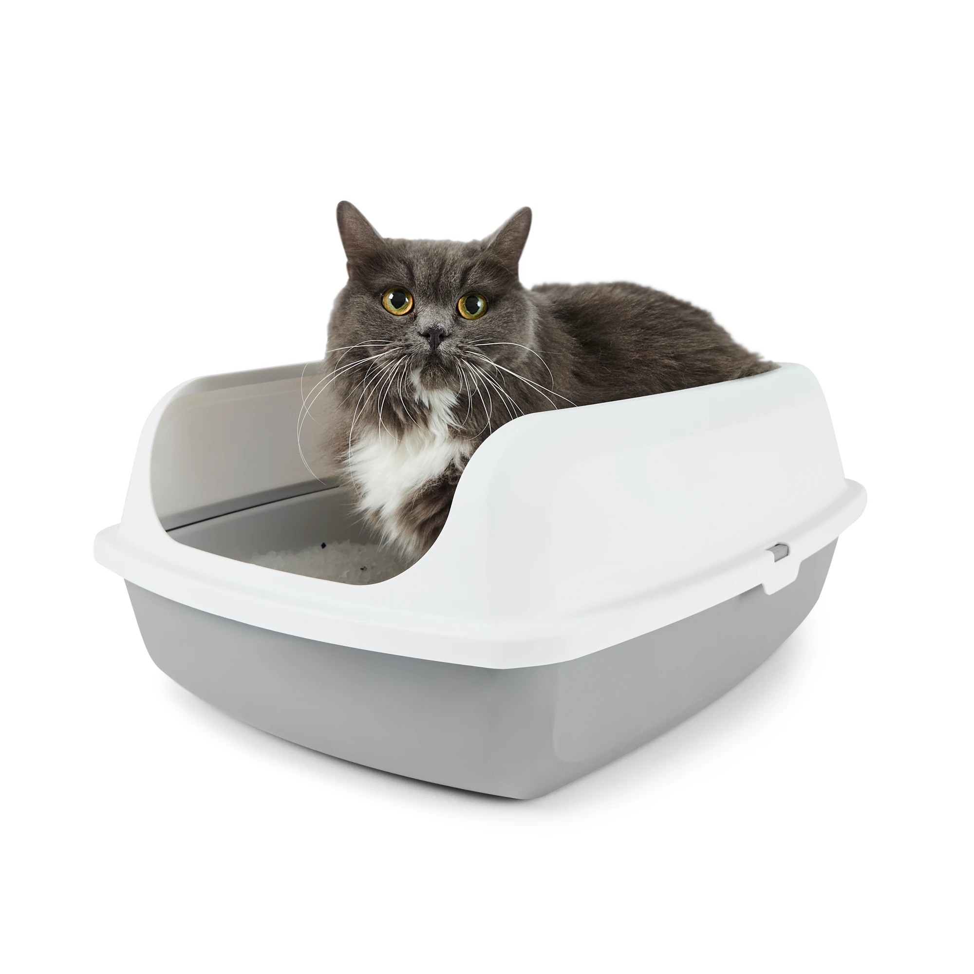 1 Cat Sifting Litter Box, 1 of 10