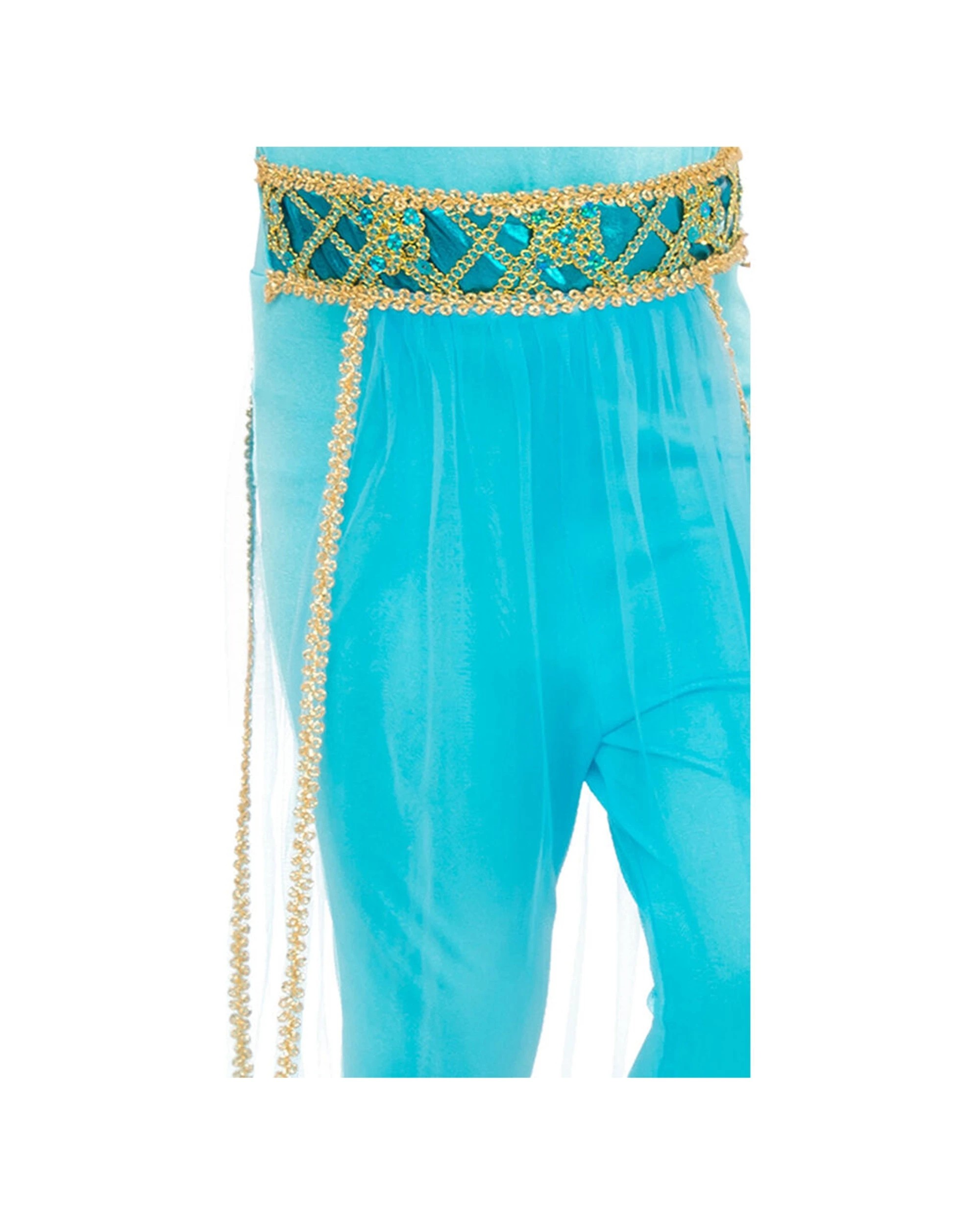 2 Rubies Arabian Princess Girls Dress Up Costume Size L - Multi, 2 of 2