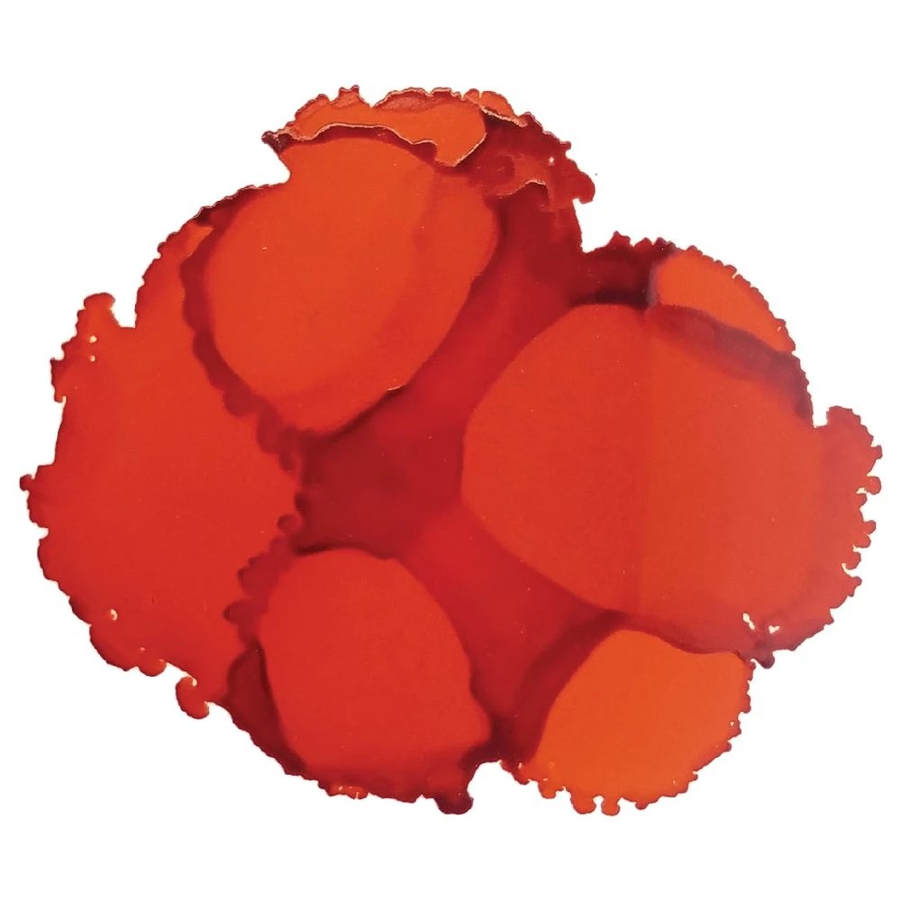 2 Jacquard Pinata Ink 14mL Calablaza Orange, 2 of 2