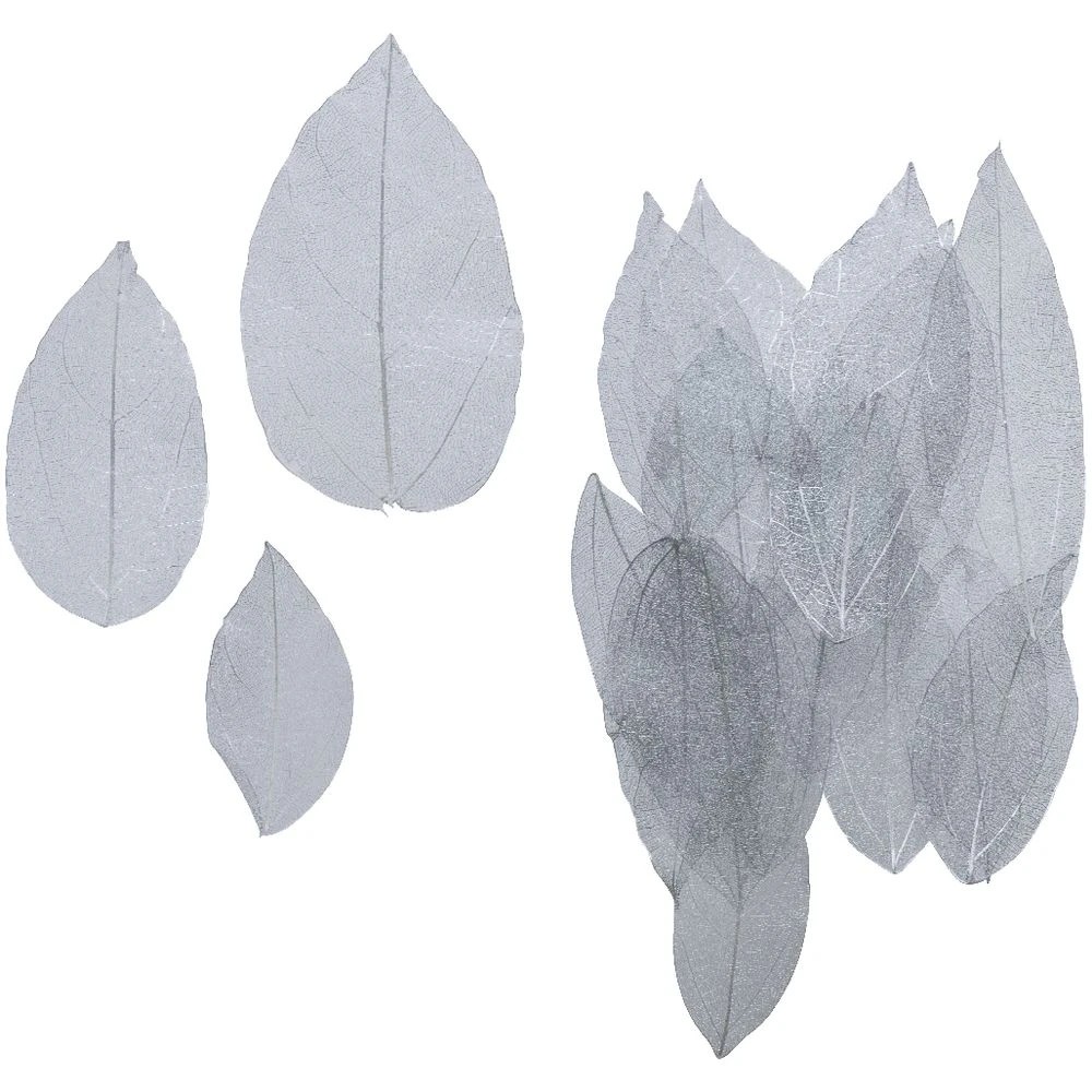 2 Born Skeleton Leaves Silver 20 pack, 2 of 2