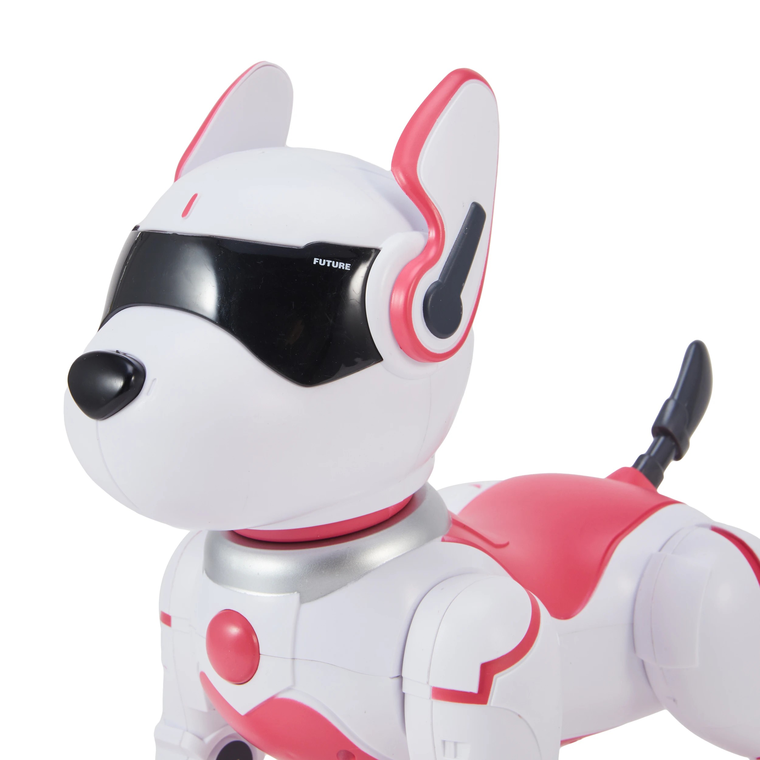 7 Zoey The Robo Dog, 7 of 9