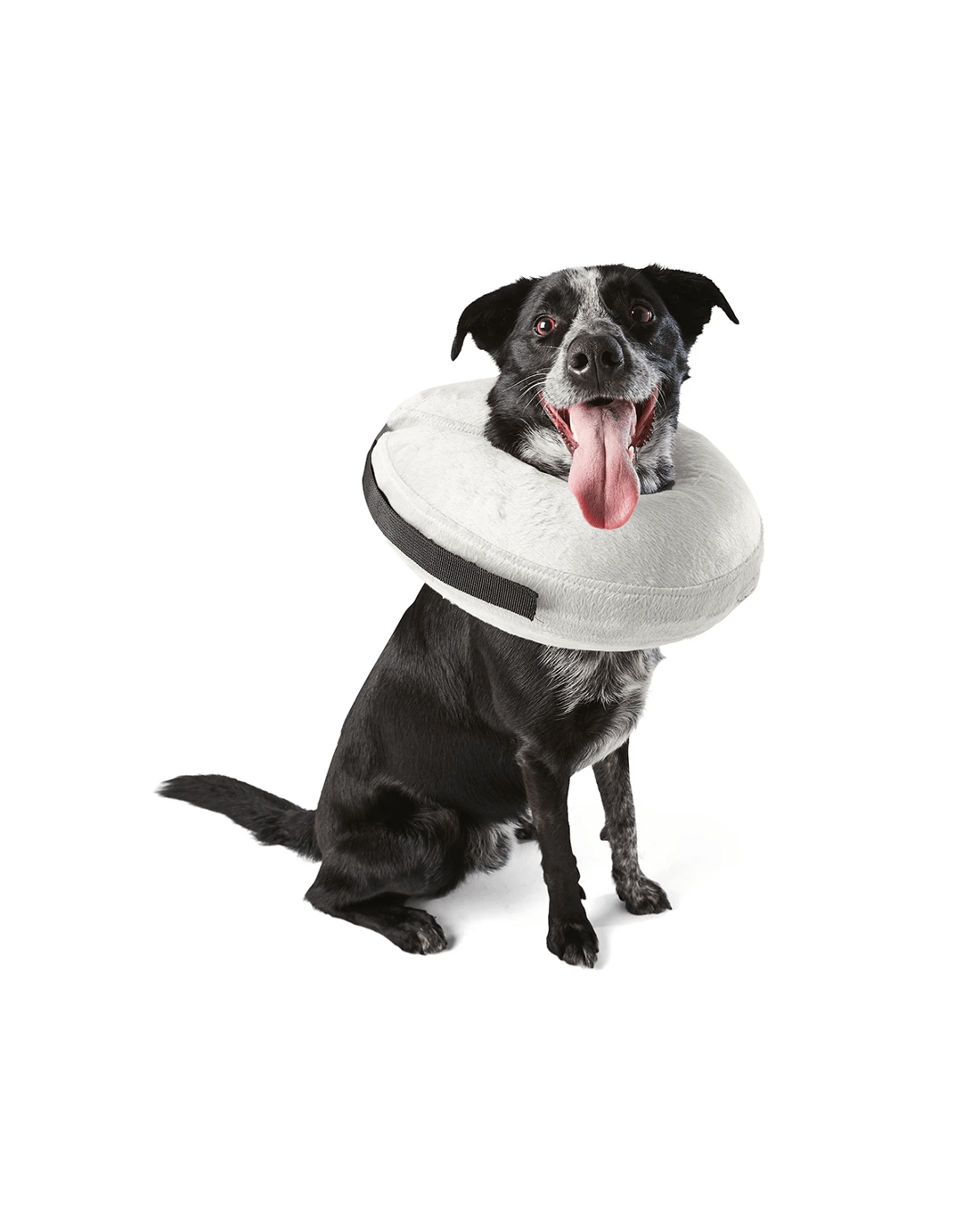 1 Inflatable Collar - Large to Extra Large, 1 of 9