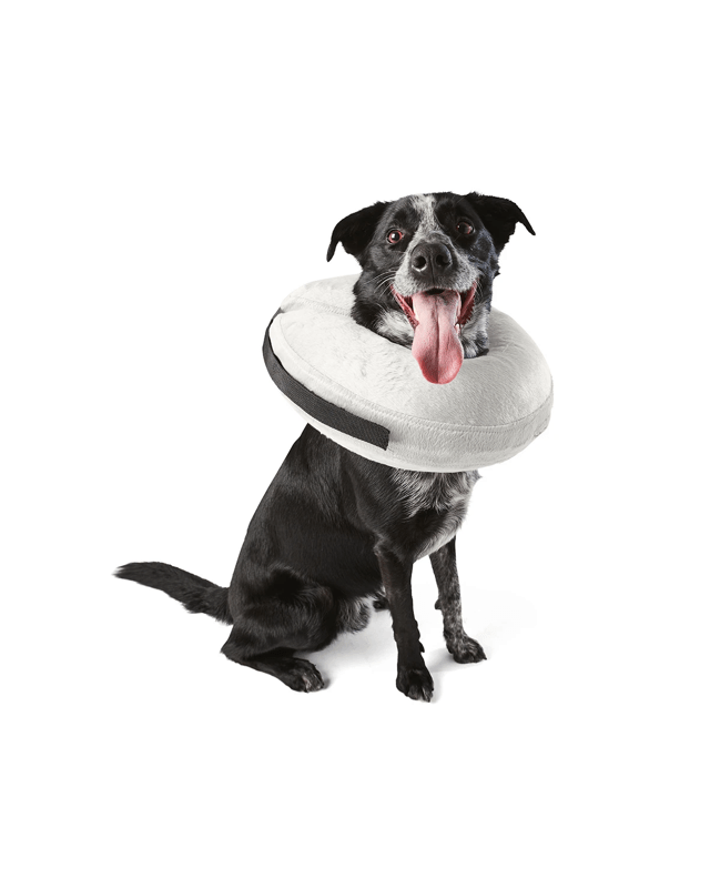 Inflatable Collar - Large to Extra L