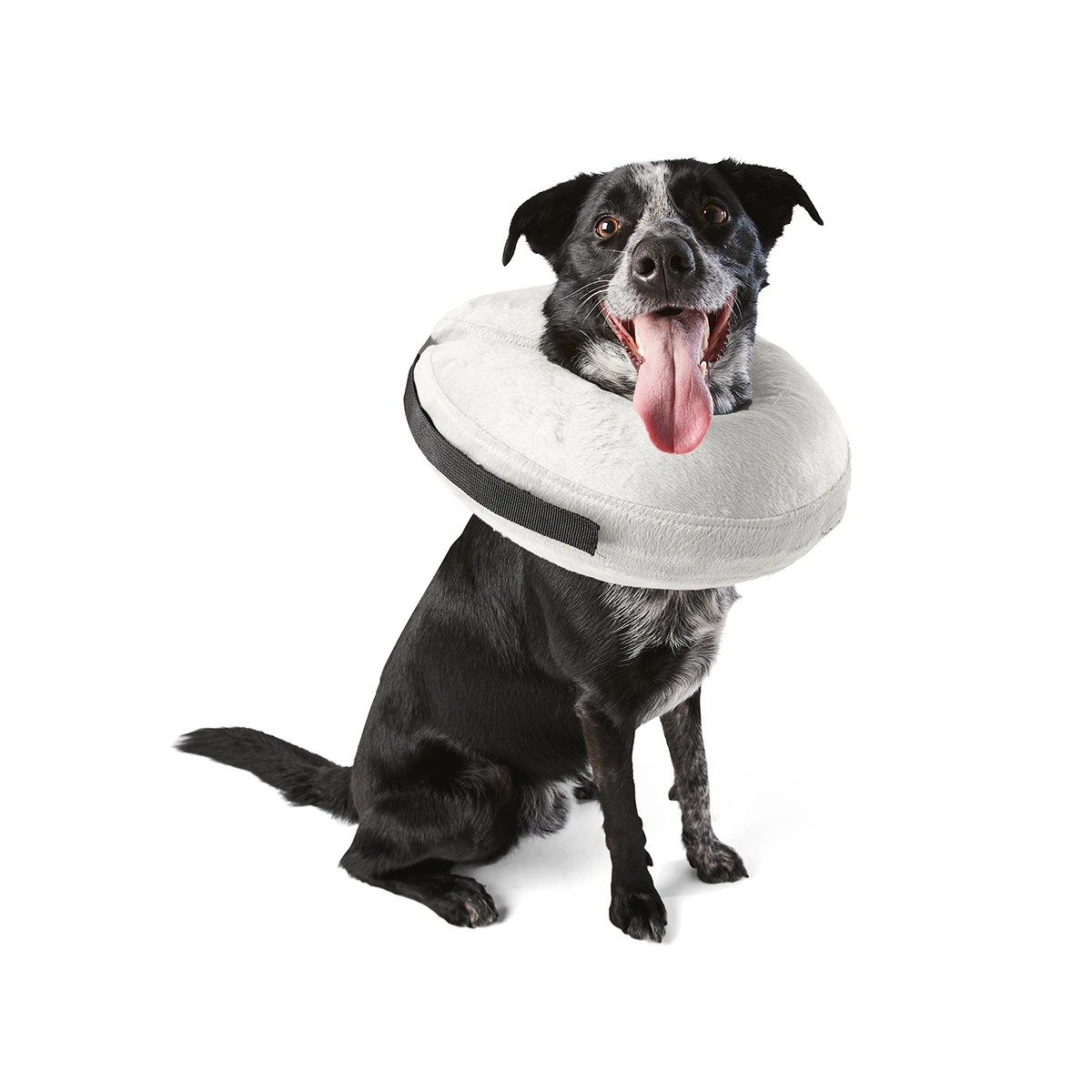 1 Inflatable Collar - Large to Extra Large, 1 of 9
