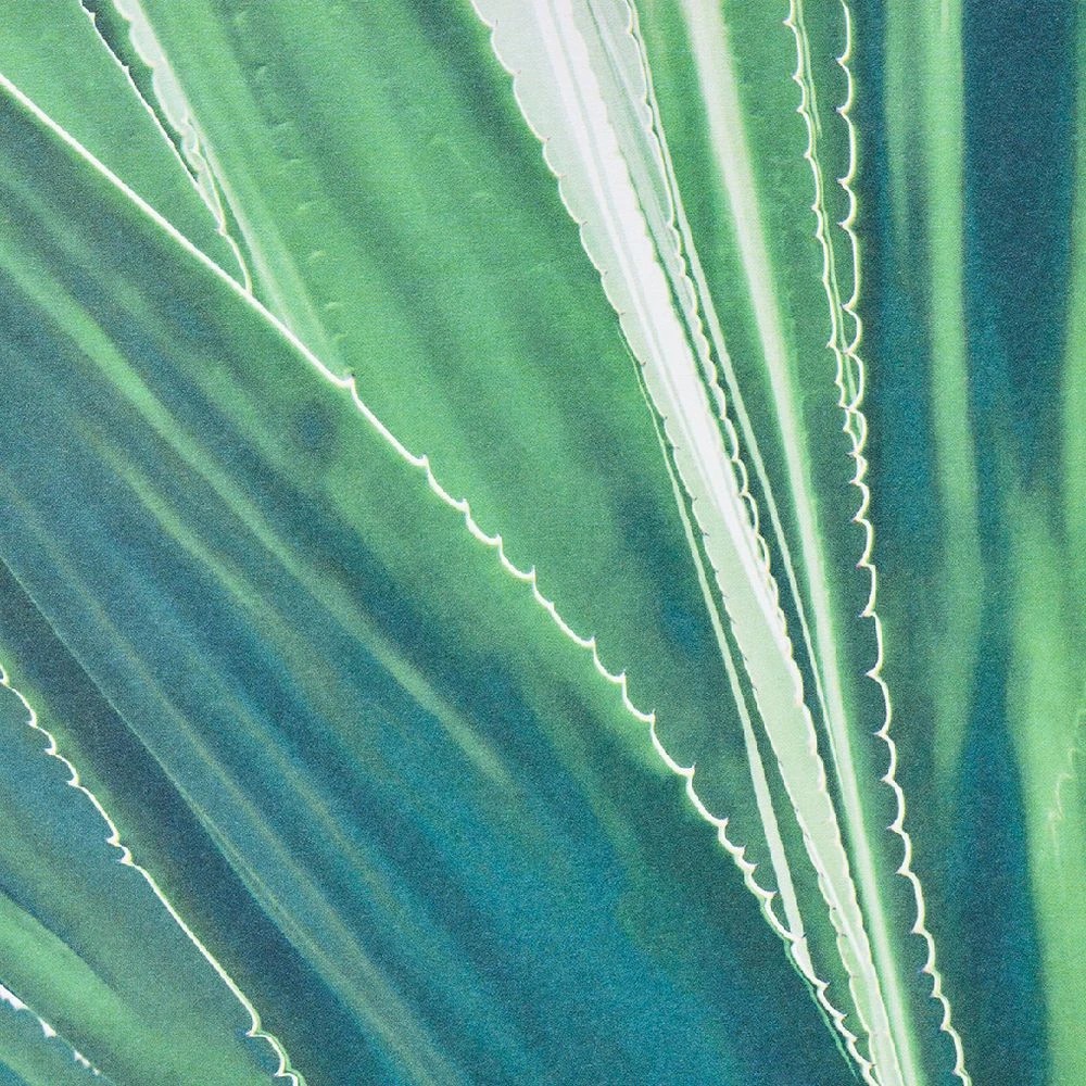 2 Born Paper Stack 15 x 15cm Botanical 30 Sheets, 2 of 4