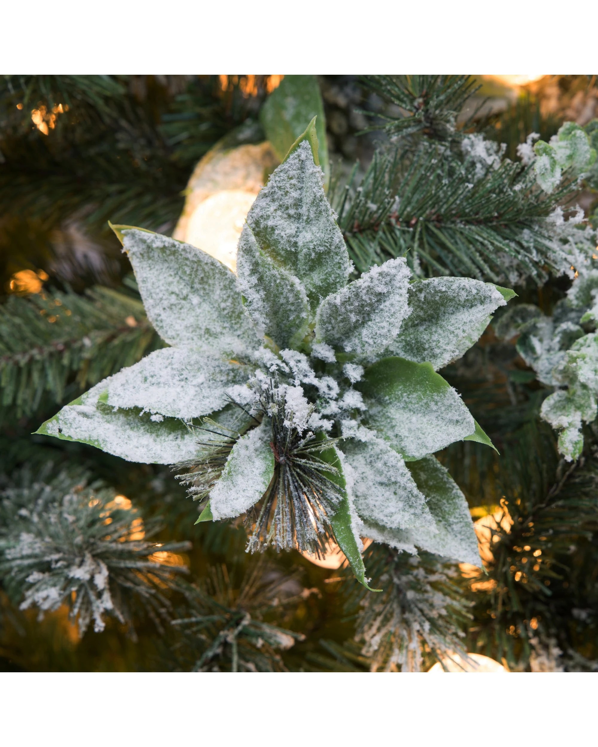 6 Christabelle Snowy Crown Pine 3.7m Multicolour Pre-Lit Christmas Tree with 5340 Tips - Multi, 6 of 8