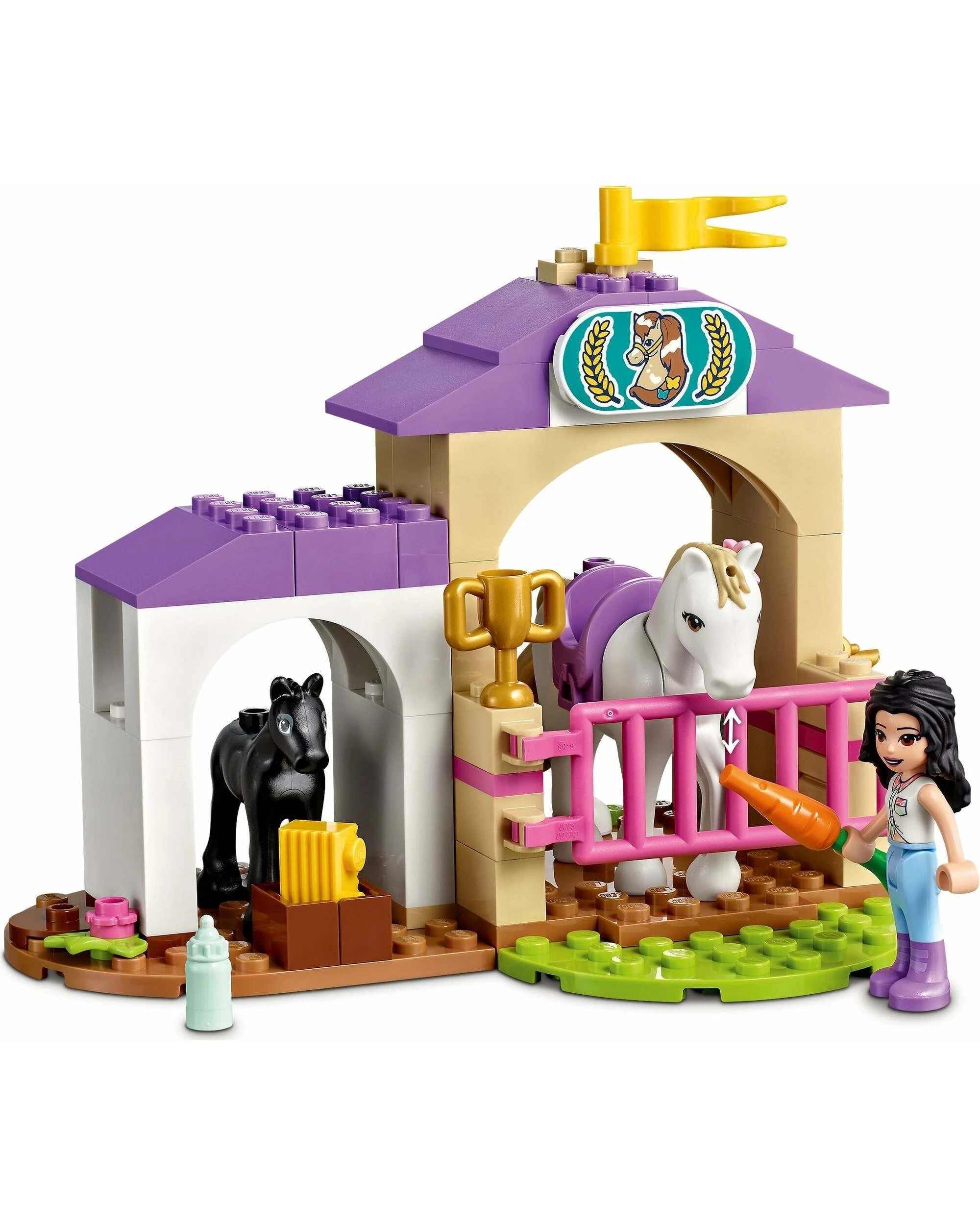 5 LEGO Friends Series 41441 Horse Training and Trailer, 5 of 5