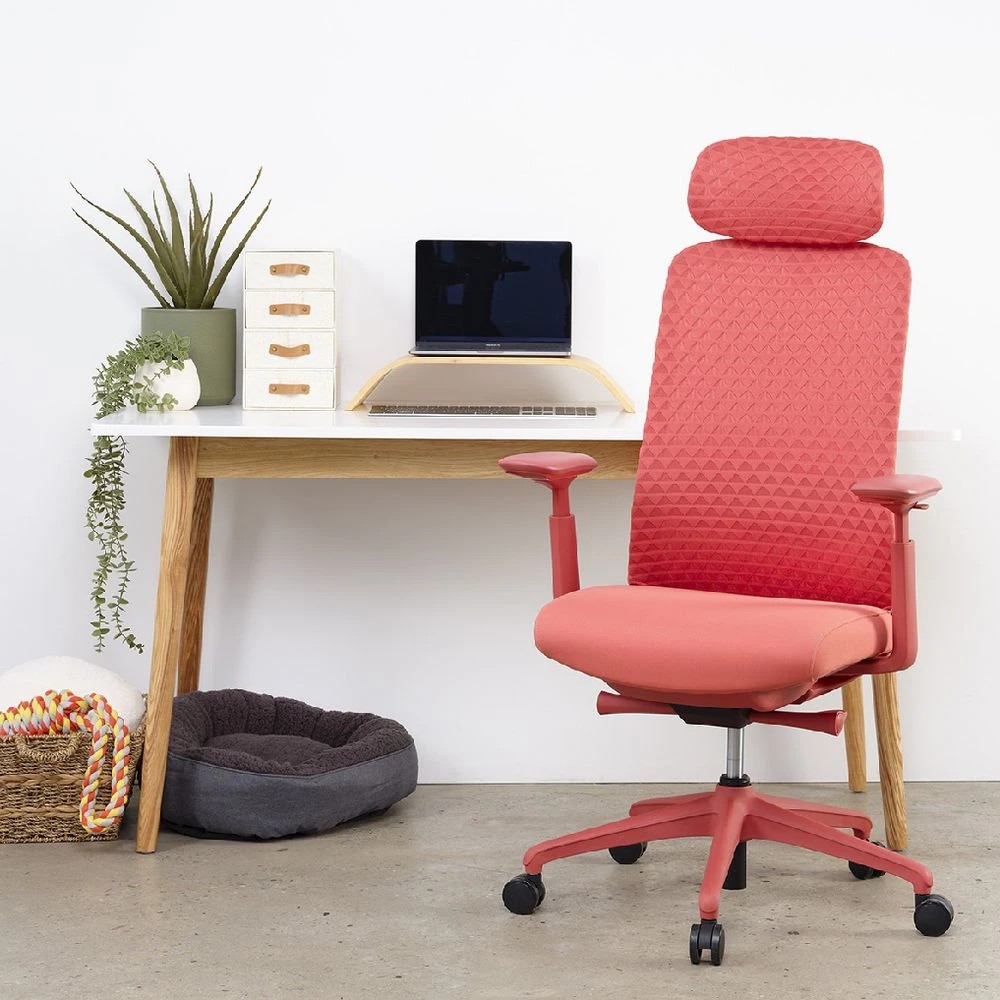 9 Pago Eris Ergonomic Office Chair Red Ergonomic Chairs and Desk Chairs, 9 of 9