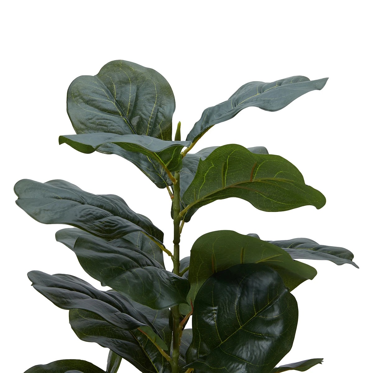 3 Artificial Fiddle Leaf in Pot, 3 of 8