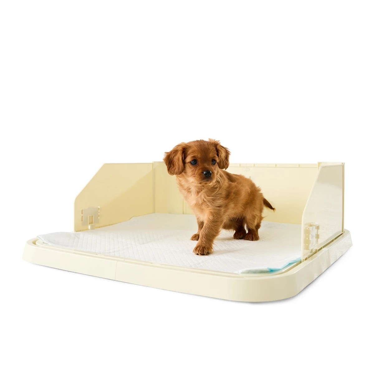 1 Pet Puppy Pad Trainer, 1 of 10