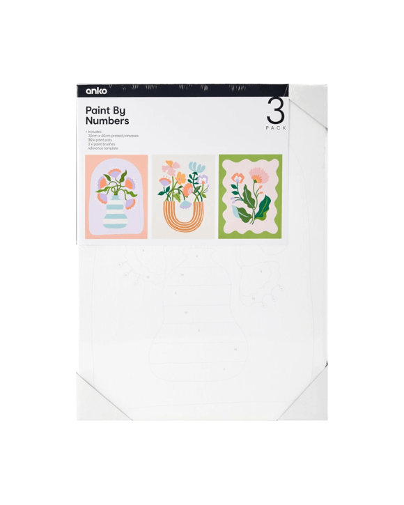 3 Pack Paint By Numbers - Bold Floral