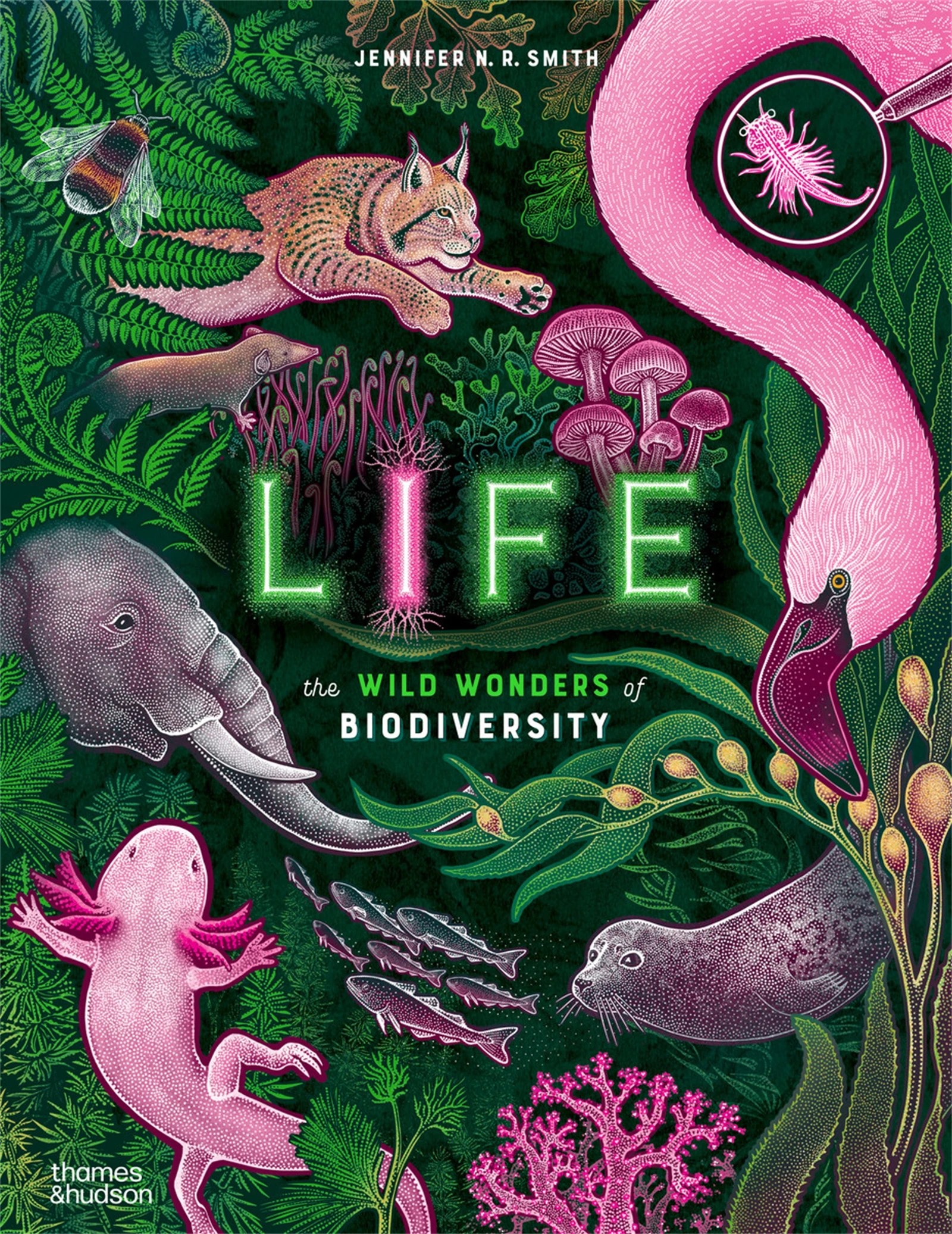 1 Life: The Wild Wonders of Biodiversity by Jennifer N.R. Smith - Book