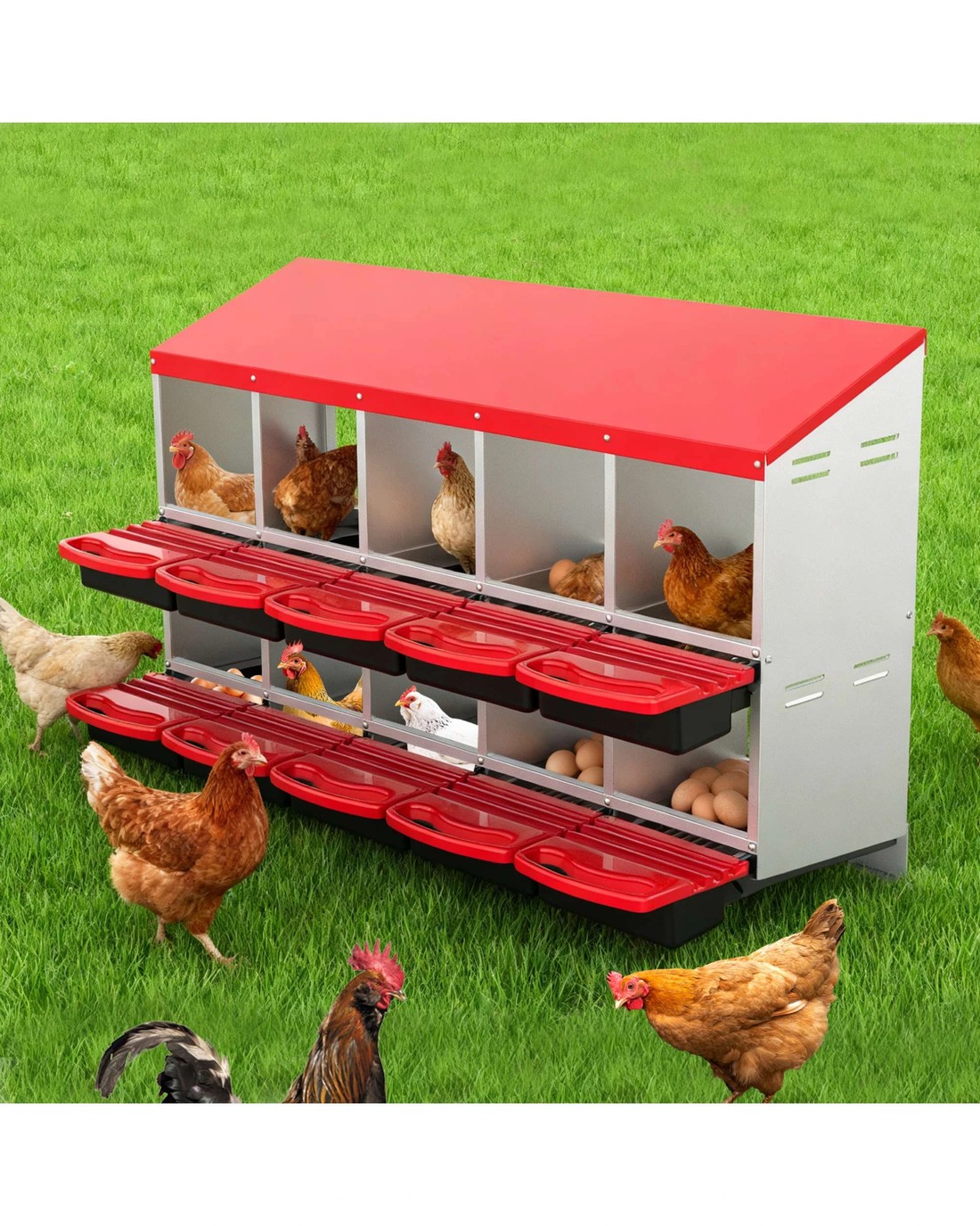 Advwin 10 Holes Chicken Nesting Boxes Chicken Egg Laying Box Egg ...