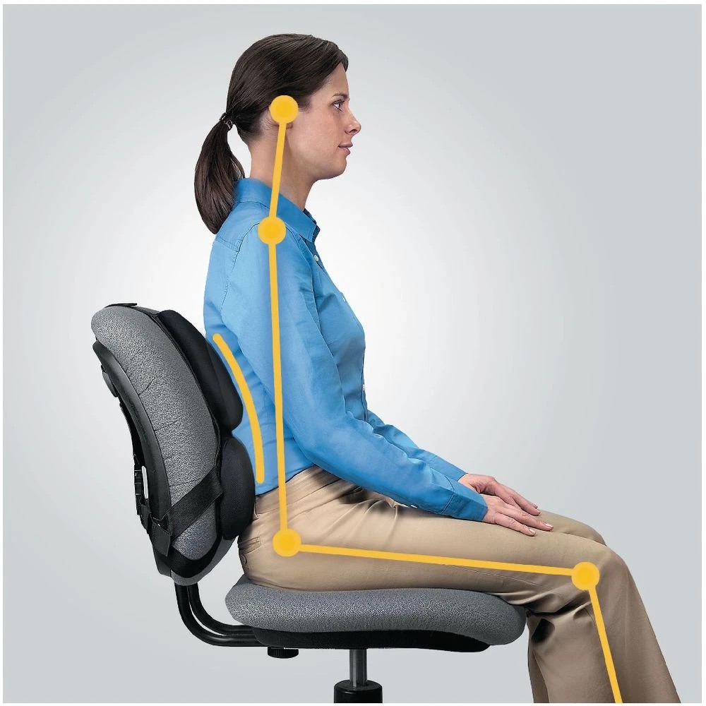 5 Fellowes Professional Back Support, 5 of 6