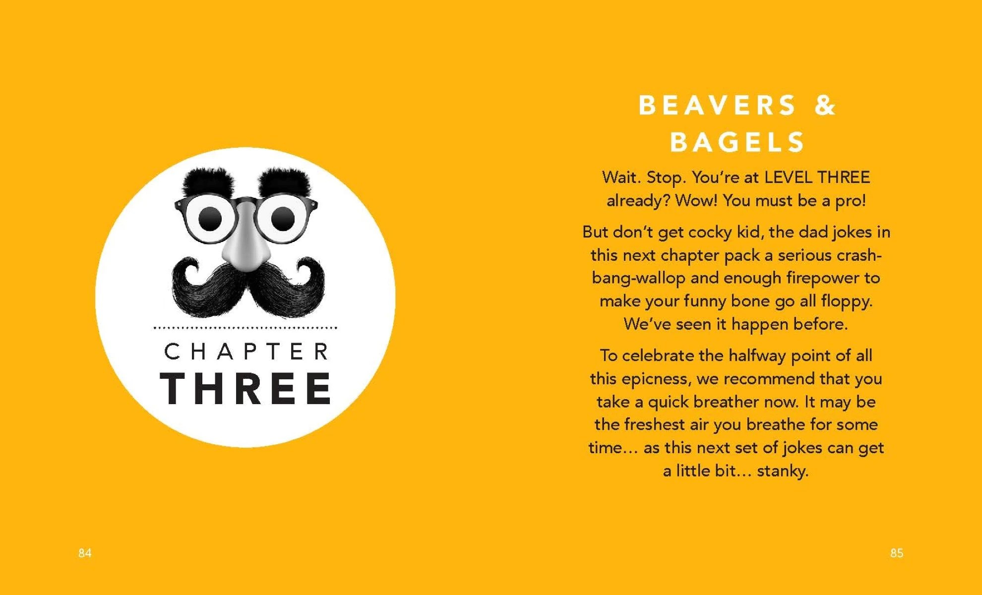 3 The Little Book of Epic Dad Jokes - Book, 3 of 3