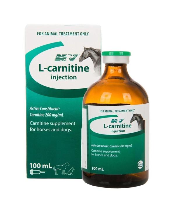 Ceva L-Carnitine Supplement Amino Acid Horses Dogs 100ml - Kmart