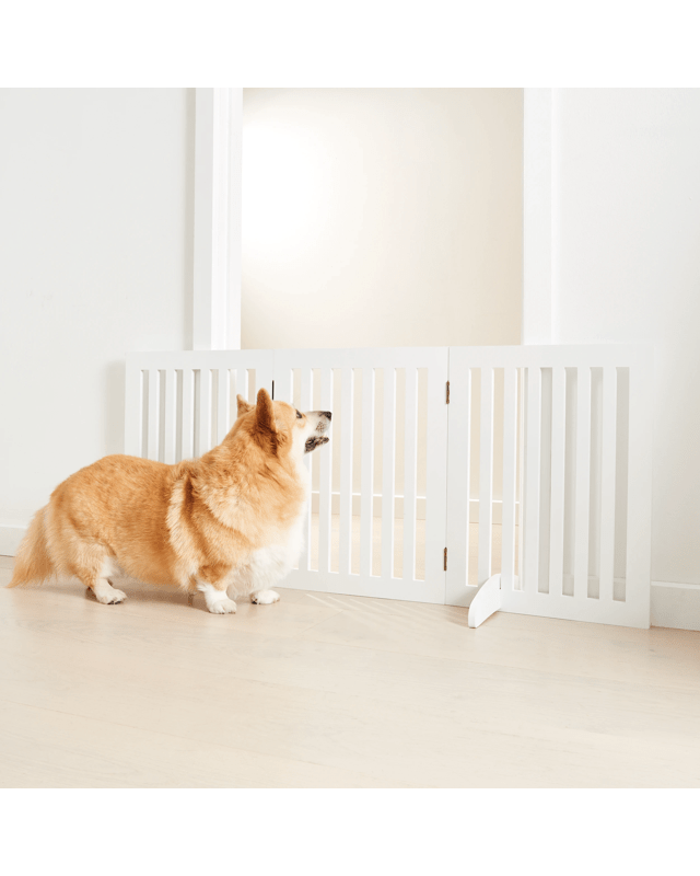 Pet Barrier 3 Sec