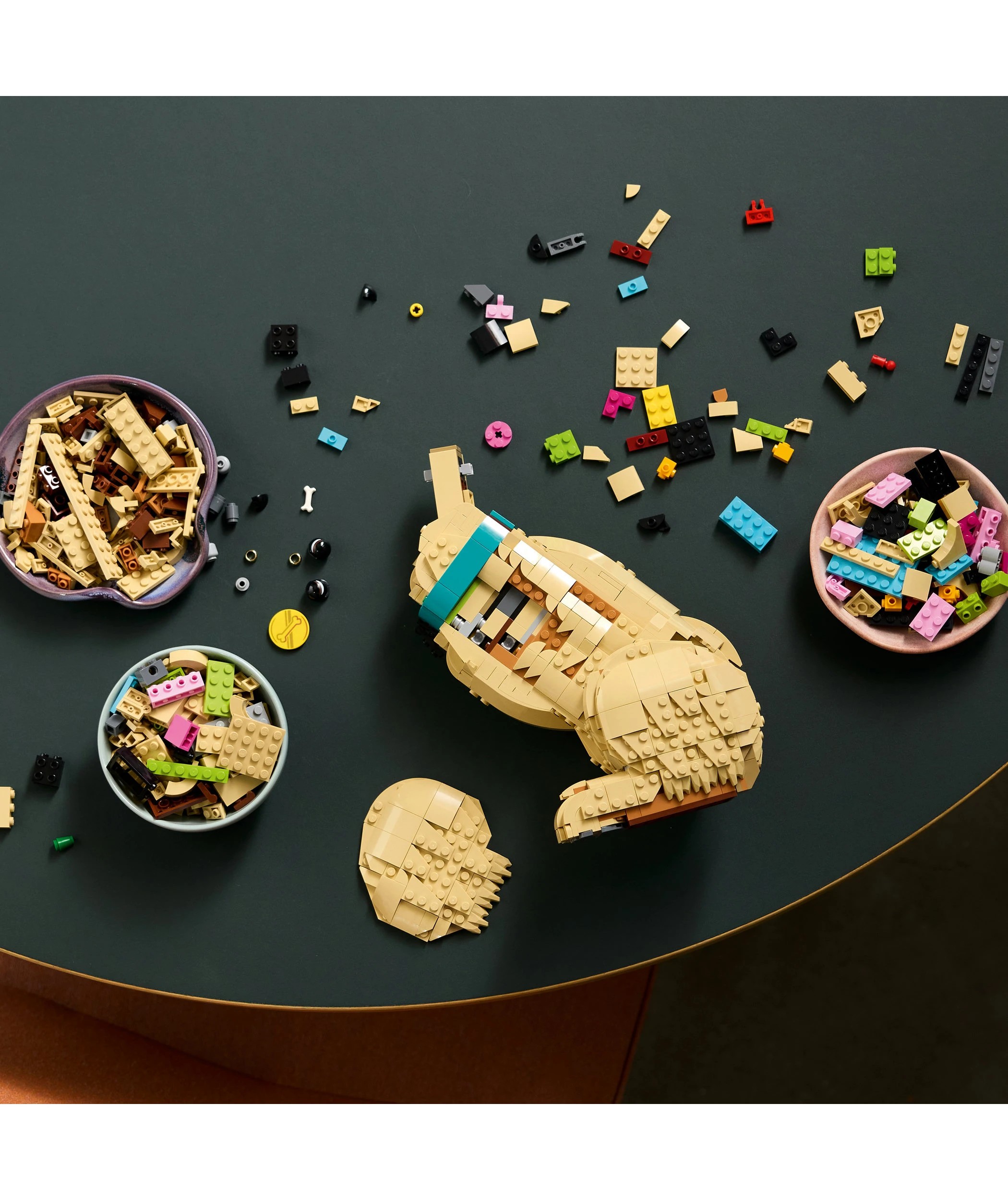 8 LEGO Icons Golden Retriever Puppy 11384, 8 of 10