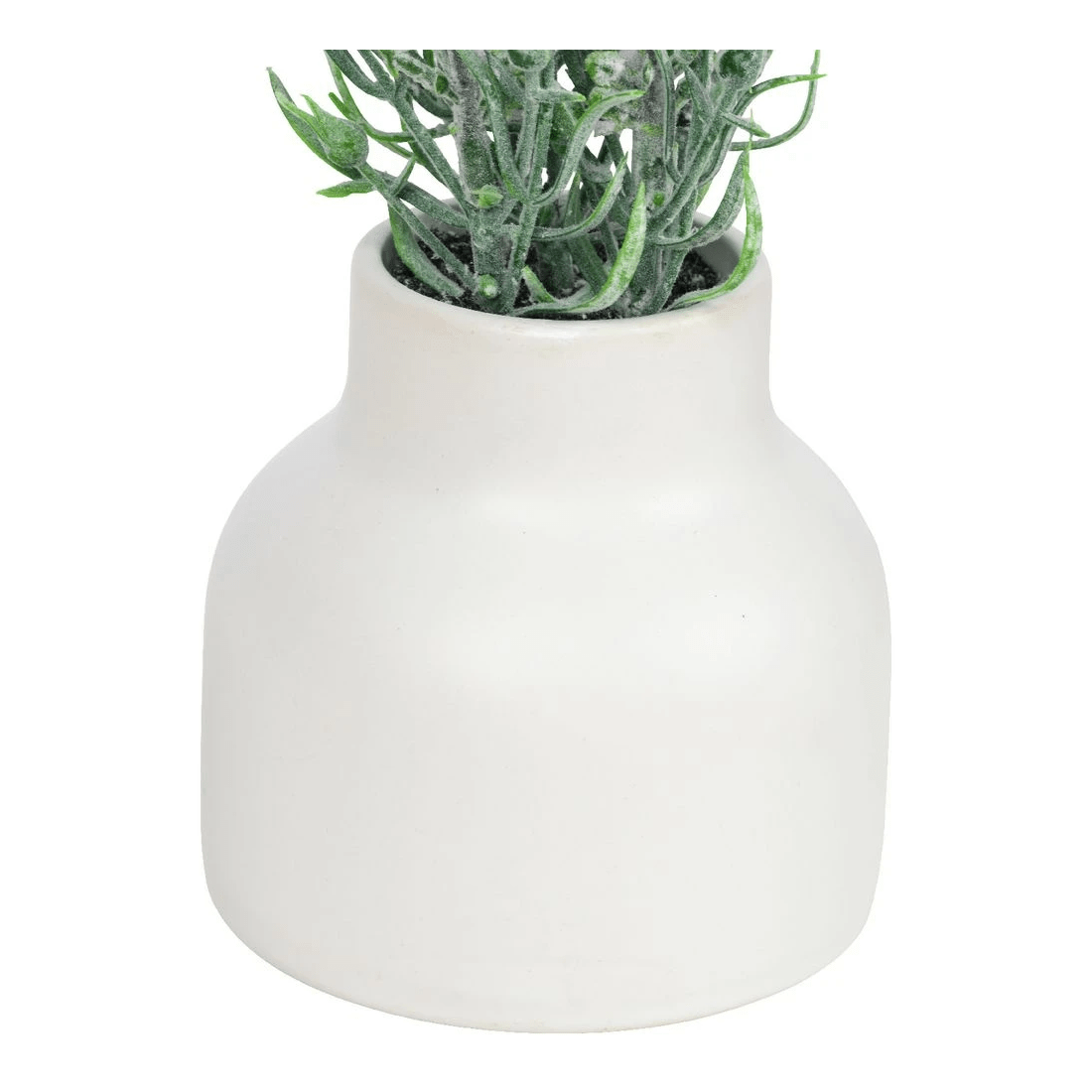 2 Otto Mini Plant, 2 of 3