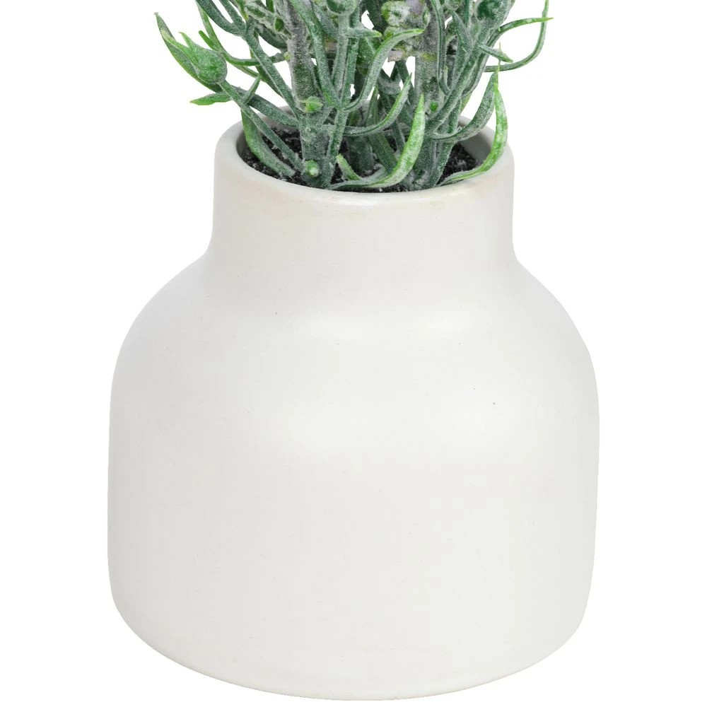 2 Otto Mini Plant, 2 of 3