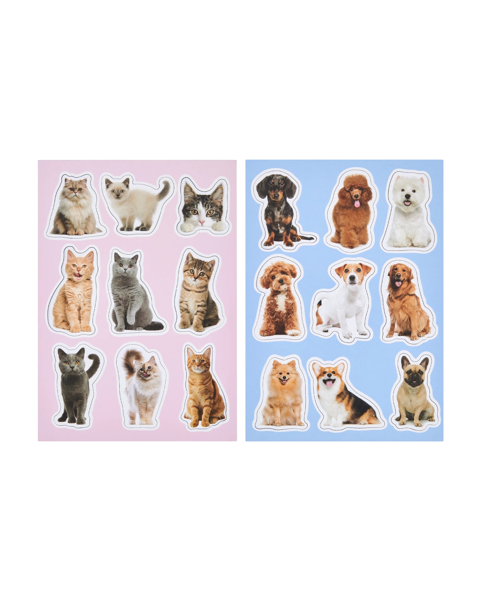 2 Magnets - Assorted, 2 of 3