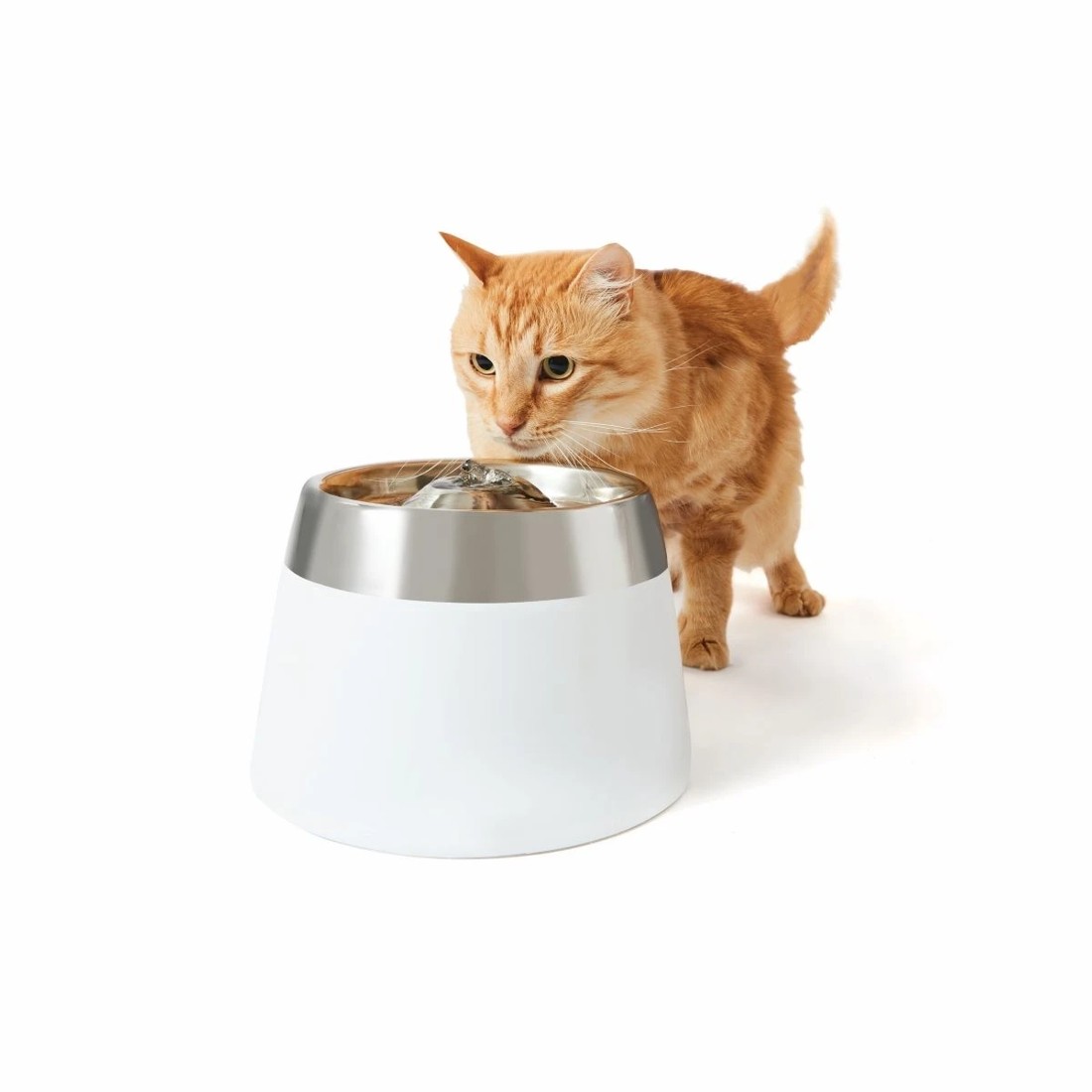 1 Pet Water Fountain, 1 of 10