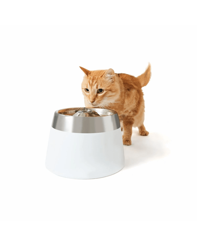 Pet Water Foun