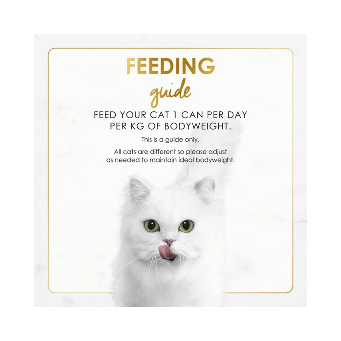 5 Fancy Feast Gravy Lovers Ocean White Fish 24X85g, 5 of 6