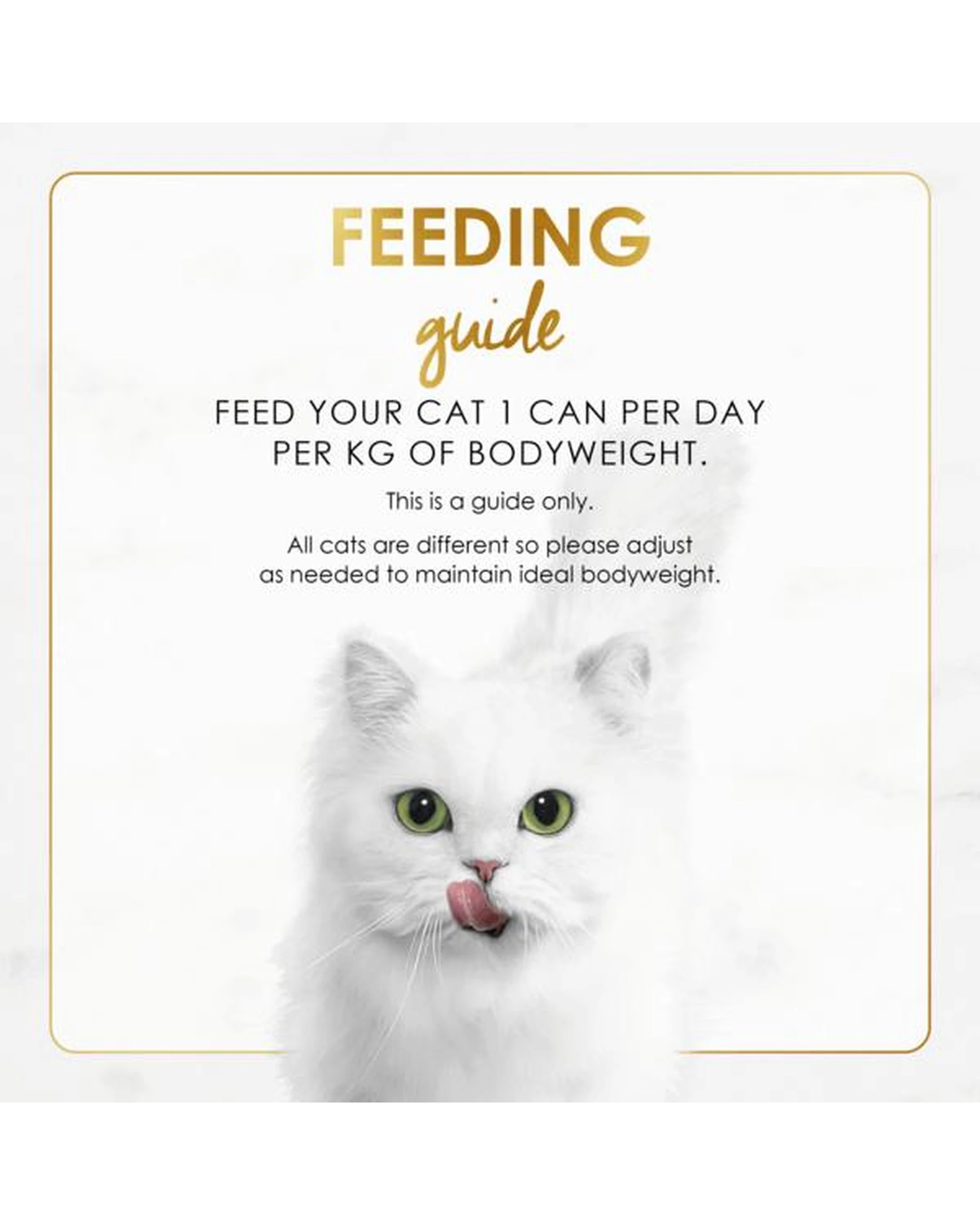 5 Fancy Feast Adult Gravy Lovers Wet Cat Food Ocean Whitefish & Tuna 24 x 85g, 5 of 6