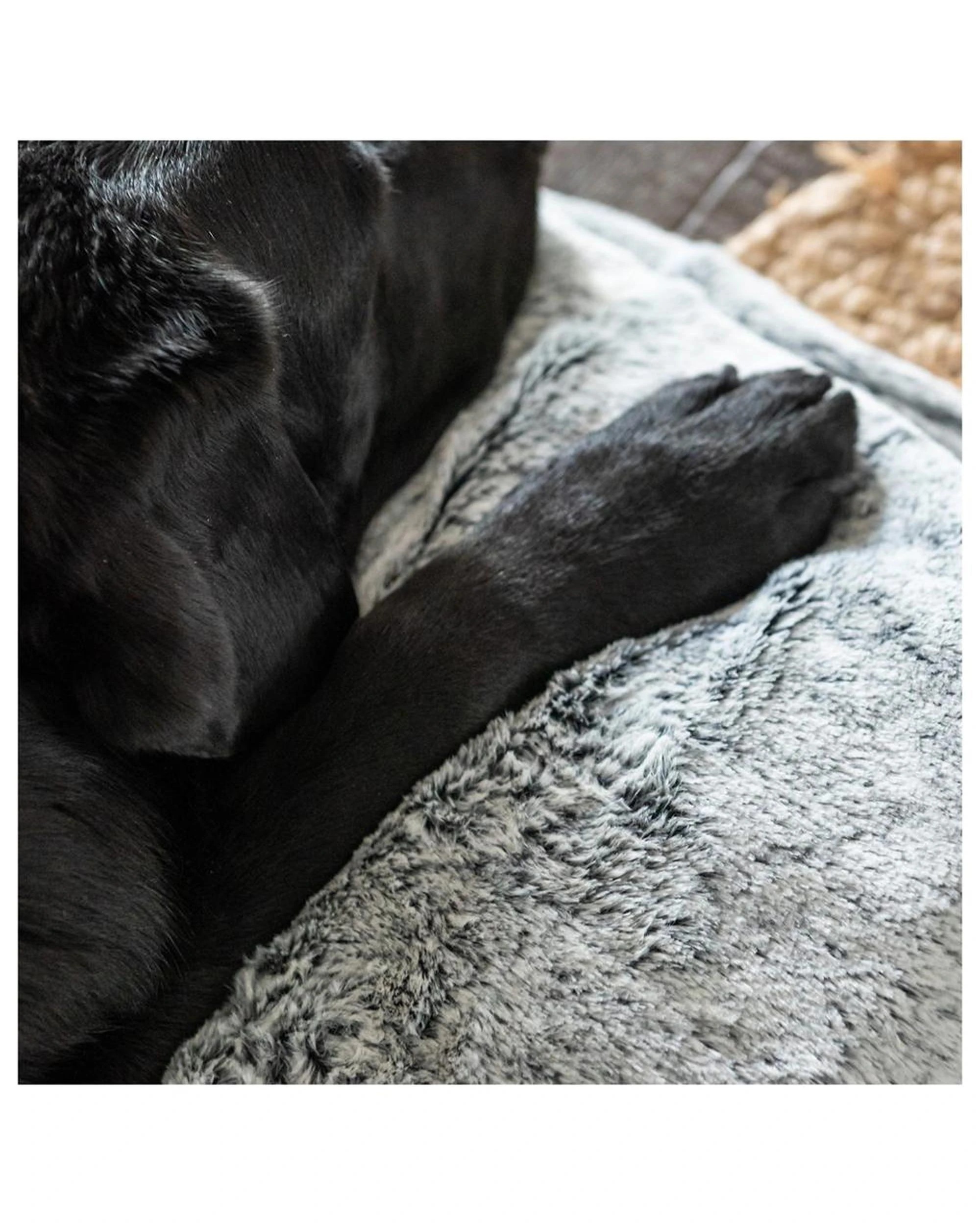 5 Superior Pet Calming Plush Pet Blanket Arctic Faux Fur Large, 5 of 6