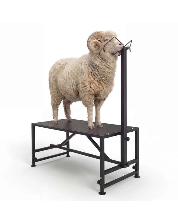 Advwin Goat Stand for Milking Metal Livestock Milking Shearing Stand