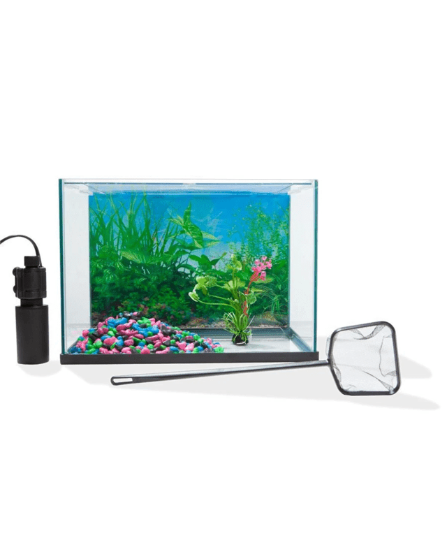 20L Aquarium Starter