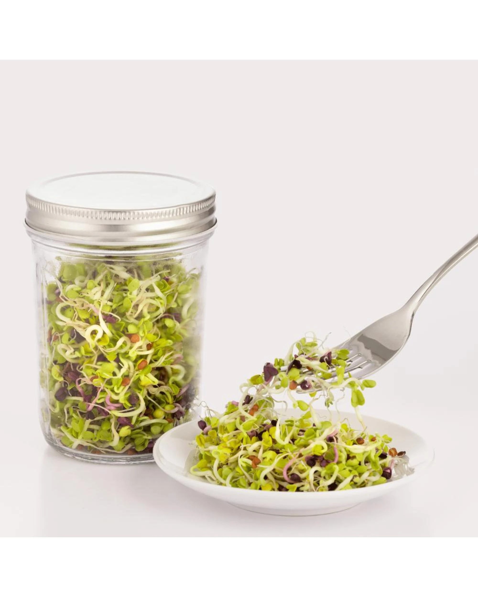 4 Kilner Glass Sprouting Set, 4 of 6