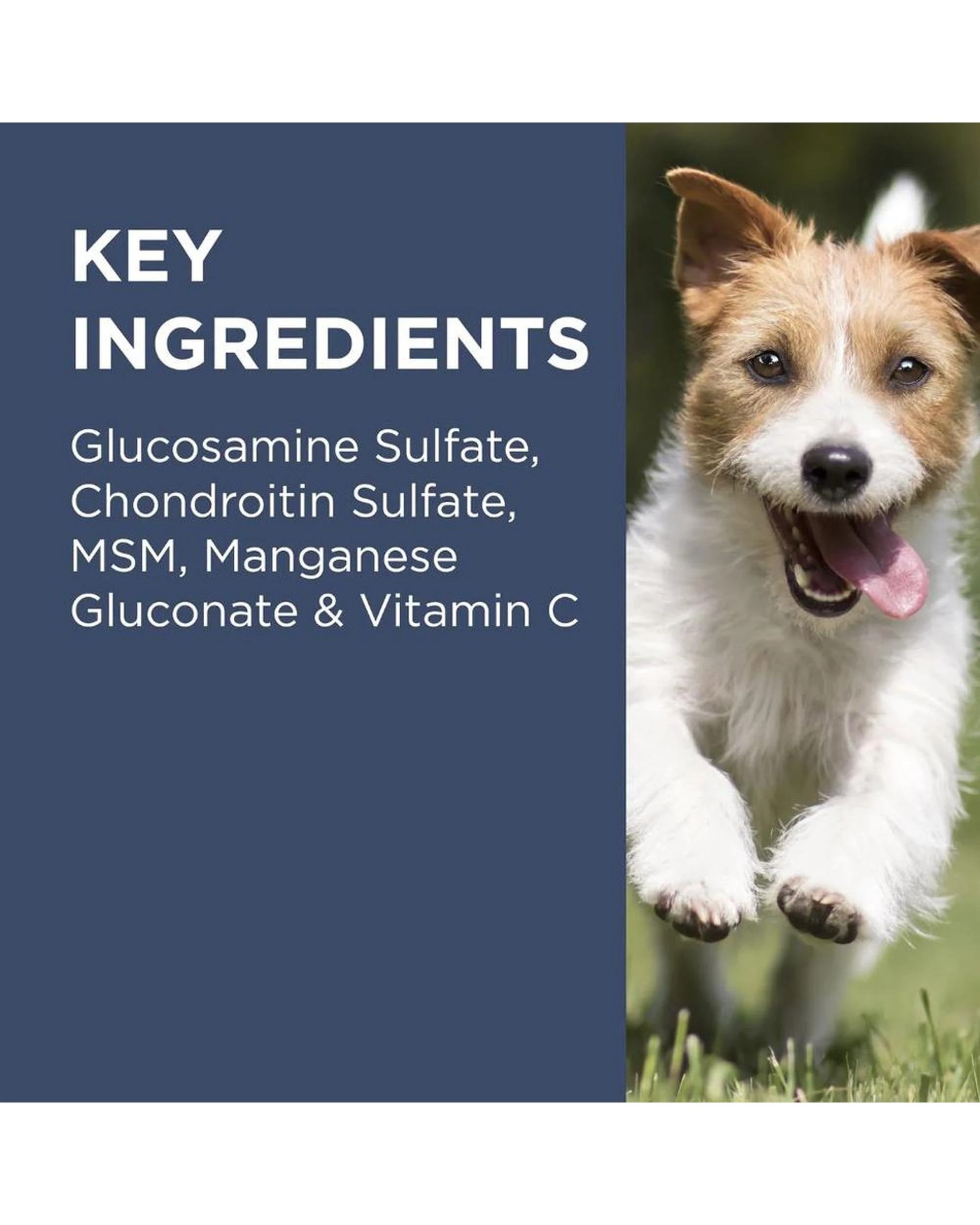 7 Paw Osteocare Chews For Dogs - 300gm 60's, 7 of 8