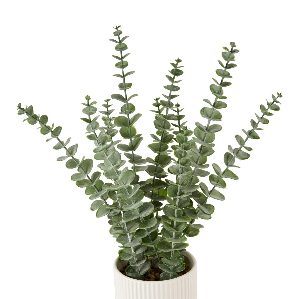 2 Artificial Eucalyptus in Pot, 2 of 3