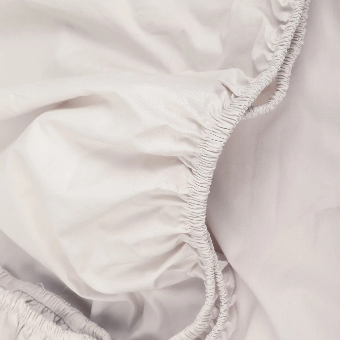 3 250 Thread Count Cotton Rich Fitted Sheet - Single Bed, Oatmeal, 3 of 4