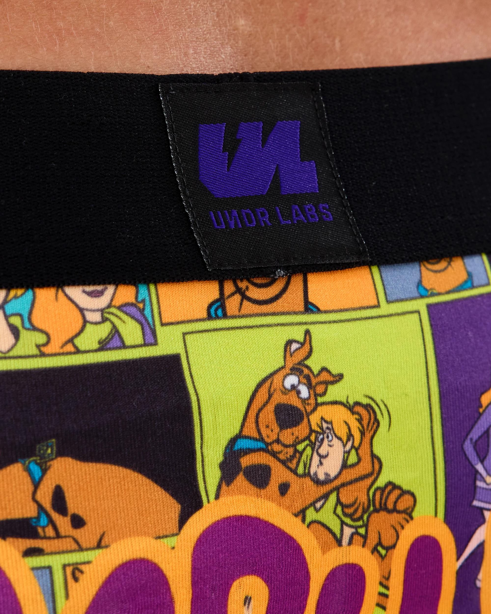 6 License Print Trunks Scbydo W26, 6 of 6