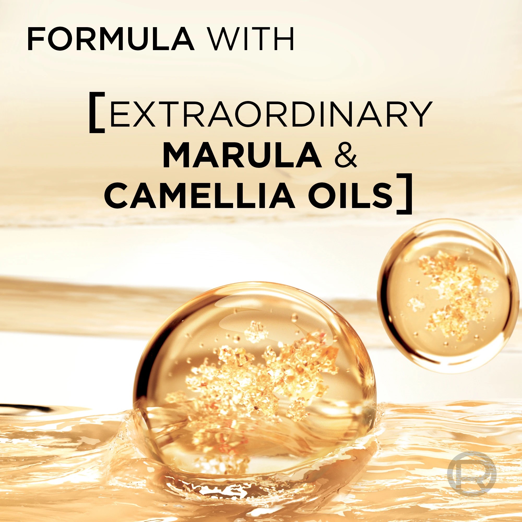 3 L'Oreal Paris Elvive Extraordinary Oil Nourishing Shampoo 340ml - Marula Oil and Camellia Oil, 3 of 4