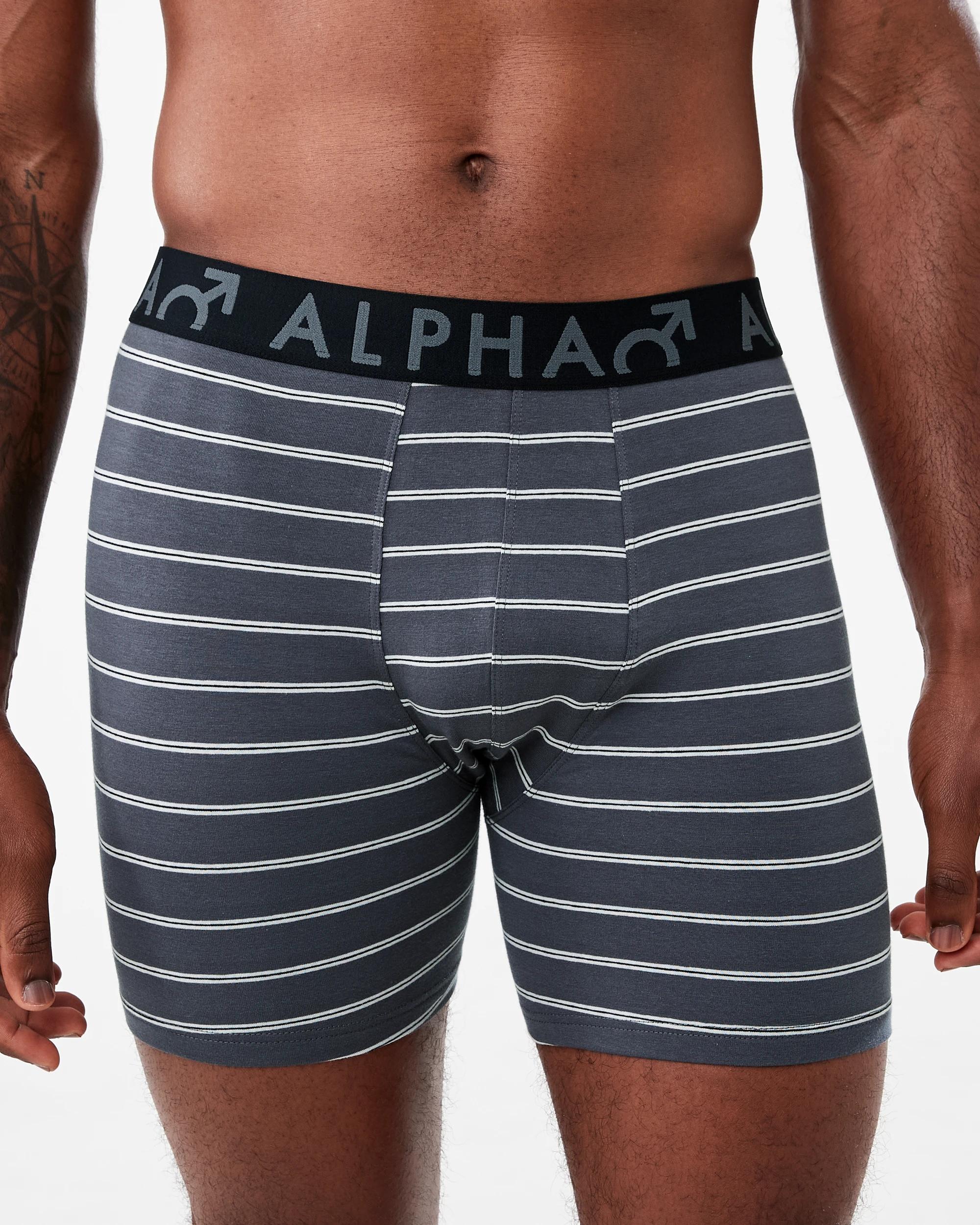 2 3 Pack Mid Length Stripe Trunks Gry Stripe, 2 of 7