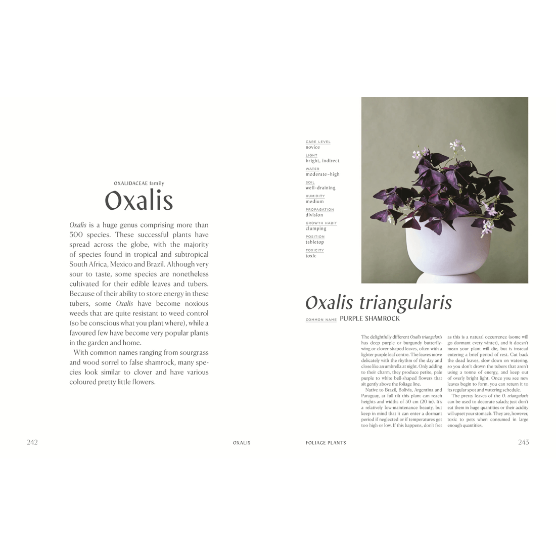 8 Plantopedia: The Definitive Guide to Houseplants by Lauren Camilleri and Sophia Kaplan - Book, 8 of 10