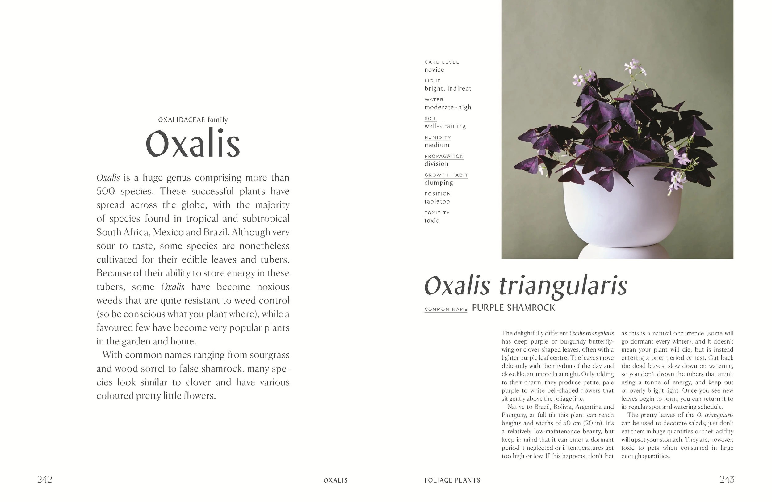 8 Plantopedia: The Definitive Guide to Houseplants by Lauren Camilleri and Sophia Kaplan - Book, 8 of 10