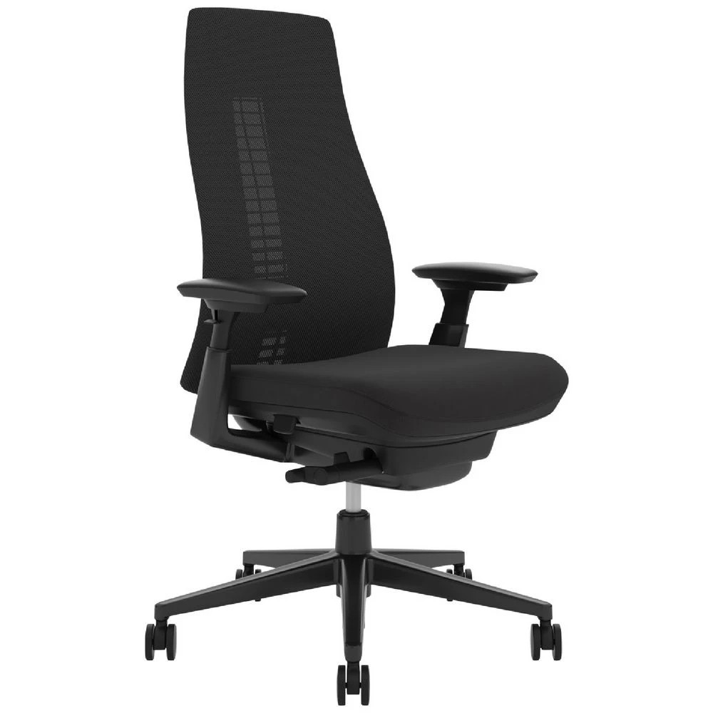 1 Haworth Fern Ergonomic Chair 4D Arms Adjustable Lumbar Black Ergonomic Chairs and Desk Chairs, 1 of 9