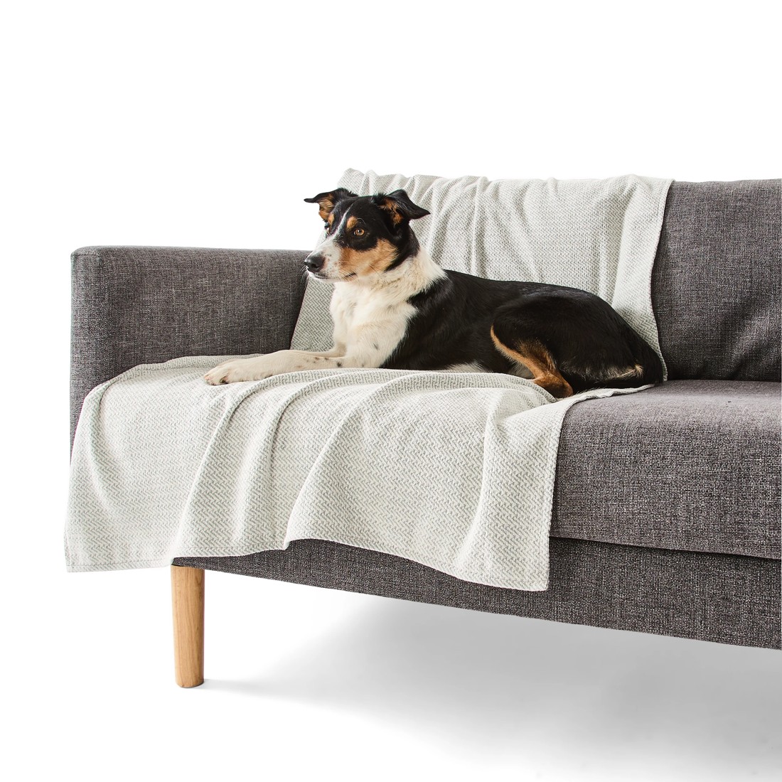 3 Pet Couch Cover Water Resistant - Large, Assorted, 3 of 10