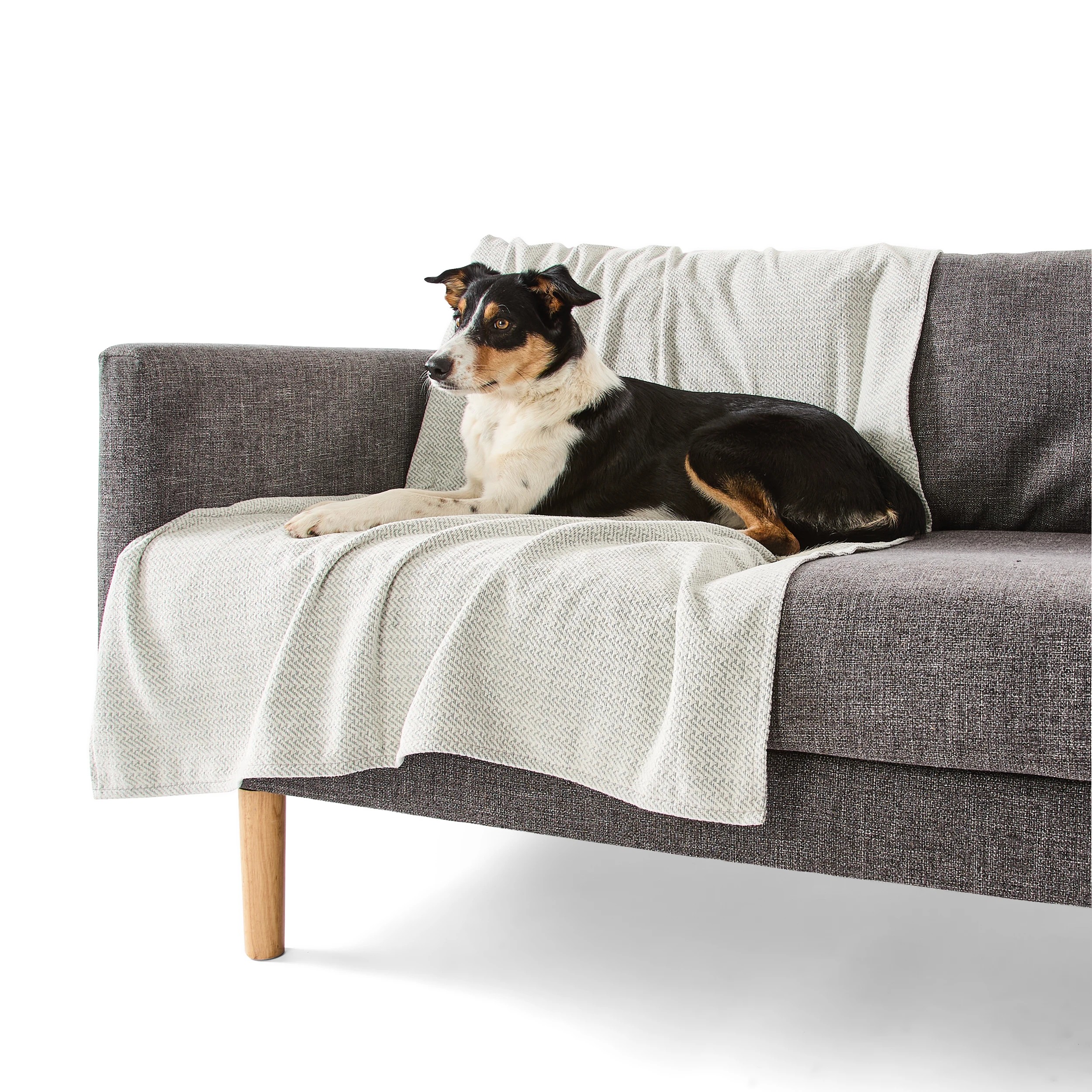 3 Pet Couch Cover Water Resistant - Large, Assorted, 3 of 10