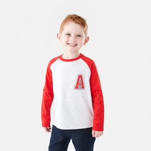 Printed Raglan Long Sleeve T-shirt
